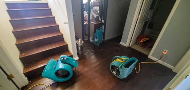Best Commercial water damage restoration  in Wellington, UT
