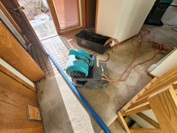 Best Water damage restoration near me  in Wellington, UT