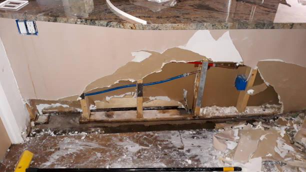 Best Water damage contractors near me  in Wellington, UT