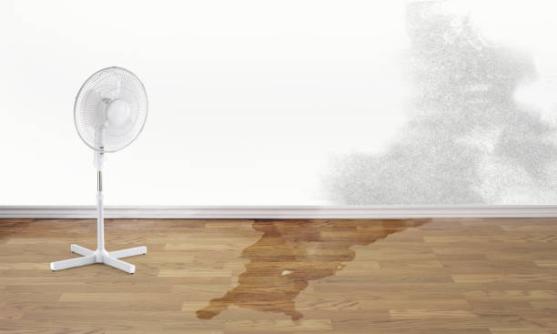 Best Flood restoration services  in Wellington, UT