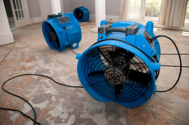  Wellington, UT Water damage restoration Pros