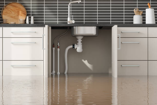 Best Emergency water extraction  in Wellington, UT