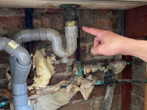 Best Flood damage cleanup  in Wellington, UT