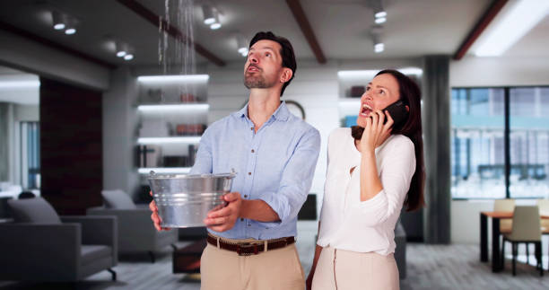 Best Water damage restoration experts  in Wellington, UT